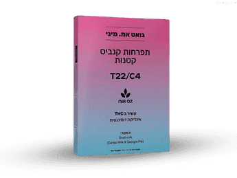 תפרחת גואט אם מיני - T22/C4 - Goat M MIni