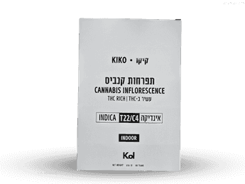 תפרחת קיקו - T22/C4 - Kiko