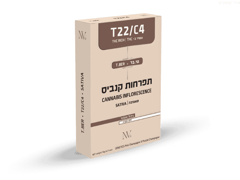 קנאביס רפואי תפרחת טי.בר איקס - T22/C4 - T.Ber X נובה קנאביס יום - סאטיבה