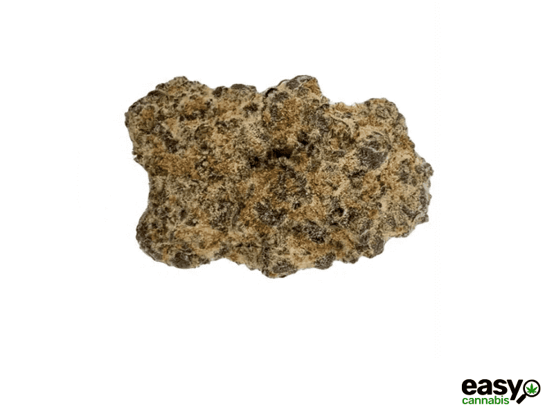 קנאביס רפואי תפרחת דאנטה - T22/C4 - Dante שיח מדיקל לילה - אינדיקה