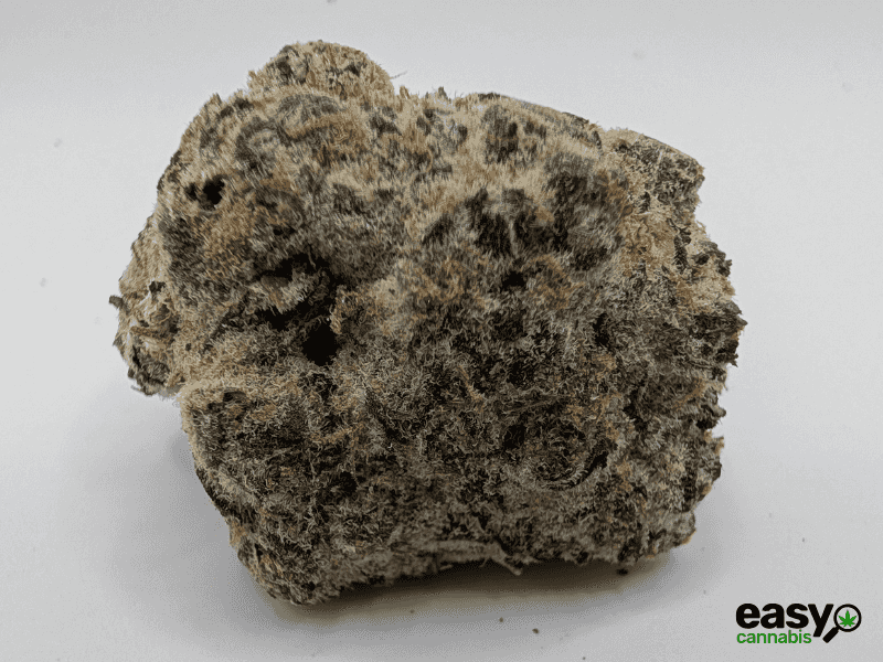 קנאביס רפואי תפרחת דאנטה - T22/C4 - Dante שיח מדיקל לילה - אינדיקה