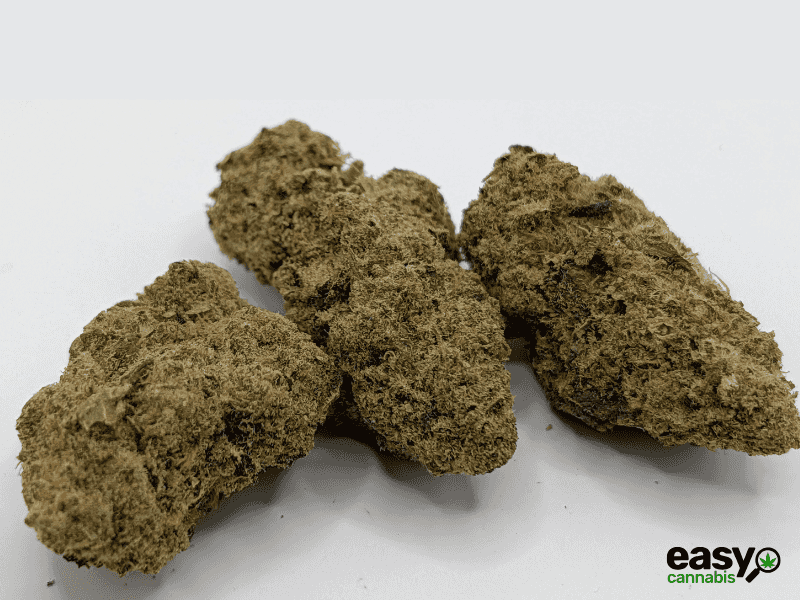 קנאביס רפואי תפרחת דאבליו רינו - T22/C4 - W Rinoo גרינקום לילה - אינדיקה