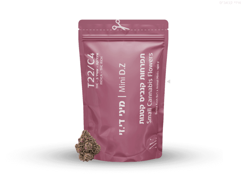 קנאביס רפואי תפרחת די.זי מיני - T22/C4 - D.Z Mini נובה קנאביס לילה - אינדיקה