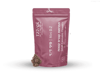 תפרחת די.זי מיני - T22/C4 - D.Z Mini