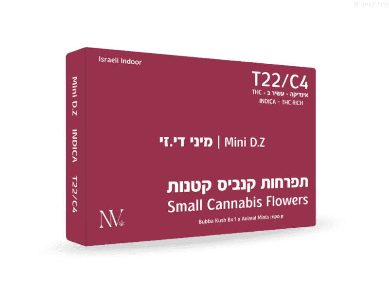 קנאביס רפואי תפרחת די.זי מיני - T22/C4 - D.Z Mini נובה קנאביס לילה - אינדיקה