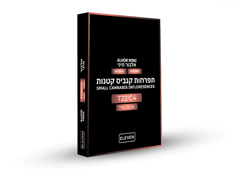 קנאביס רפואי תפרחת אלבור מיני - T22/C4 - Alvor Mini גרינמד יום - סאטיבה