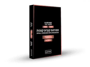 תפרחת אלבור מיני - T22/C4 - Alvor Mini