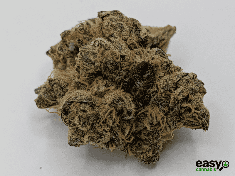 קנאביס רפואי תפרחת טי&או - T22/C4 - T&O טריכום לילה - אינדיקה