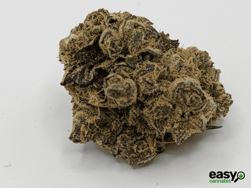 קנאביס רפואי תפרחת טי&או - T22/C4 - T&O טריכום לילה - אינדיקה