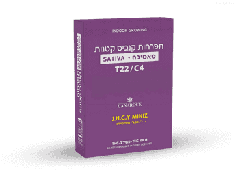 תפרחת ג'י.אנ.ג'י וואי מיניז - T22/C4 - J.N.G.Y Miniz