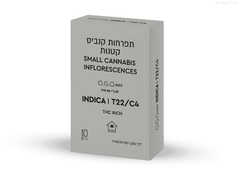 קנאביס רפואי תפרחת או.ג'י.או מיני - T22/C4 - O.G.O Mini קנטק לילה - אינדיקה