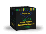 תפרחת מיגל - T22/C4 - Miguel