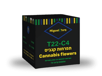 תפרחת מיגל - T22/C4 - Miguel