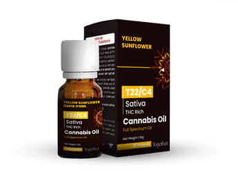 שמן ילו סאנפלאוור - T22/C4 - Yellow Sunflower