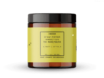 תפרחת א.פריט - T22/C4 - A.Fritt