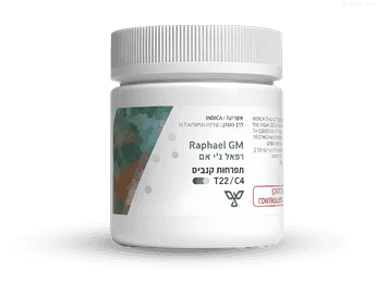 תפרחת רפאל ג'י אם - T22/C4 - Raphael Gm