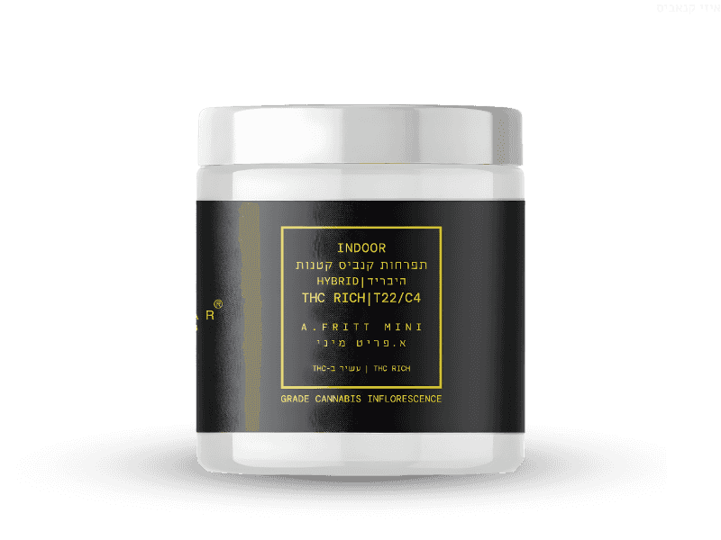 קנאביס רפואי תפרחת א.פריט מיני - T22/C4 - A.Fritt Mini קנאבר יום\לילה - היברידי