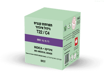 תפרחת ג'י.סי.סי - T22/C4 - G.C.C