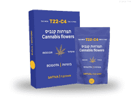 תפרחת בוגוטה - T22/C4 - Bogota