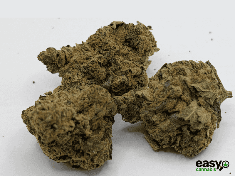 קנאביס רפואי תפרחת טנג'י קוש - T22/C4 - Tangie Kush פיס נטורלס לילה - אינדיקה