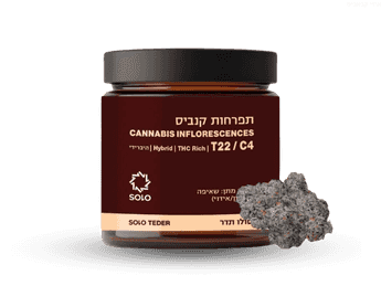 תפרחת סולו תדר - T22/C4 - SOLO Teder