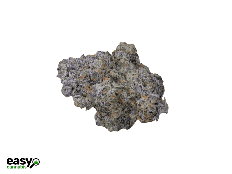 קנאביס רפואי תפרחת סולו תדר - T22/C4 - SOLO Teder מדוקאן יום\לילה - היברידי