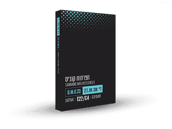 תפרחת די.אם.או.23 - T22/C4 - D.M.O.23