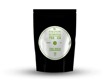 תפרחת דום - T22/C4 - DOME