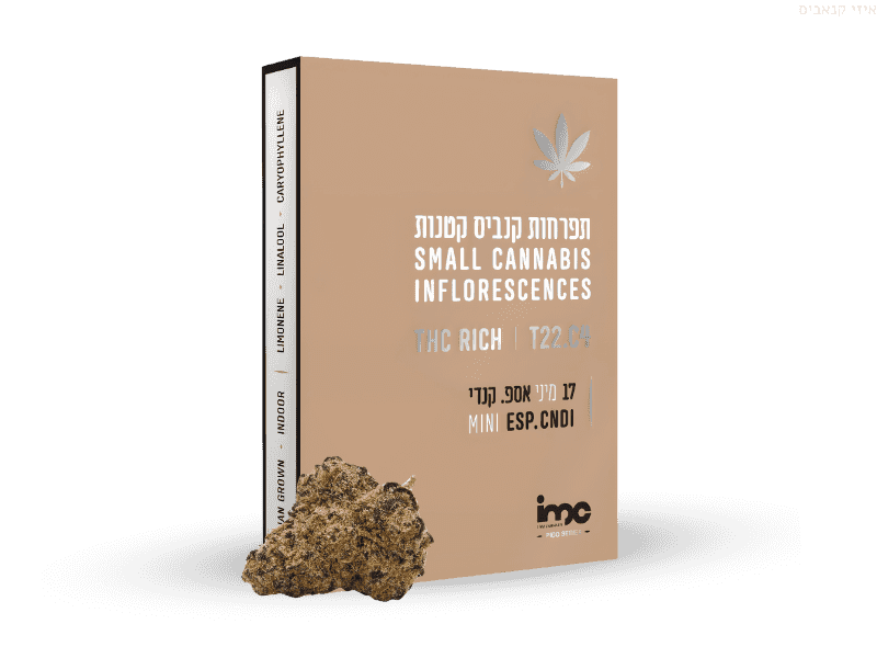 קנאביס רפואי תפרחת אספ.קנדי מיני - T22/C4 - ESP.CNDY MINI איי.אמ.סי יום\לילה - היברידי