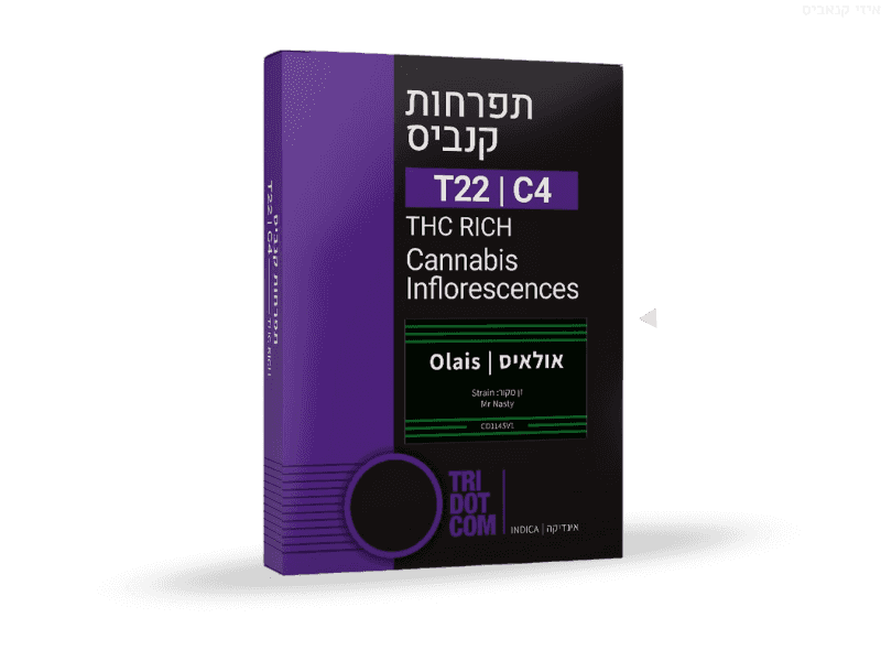 קנאביס רפואי תפרחת אולאיס - T22/C4 - Olais קנדוק לילה - אינדיקה