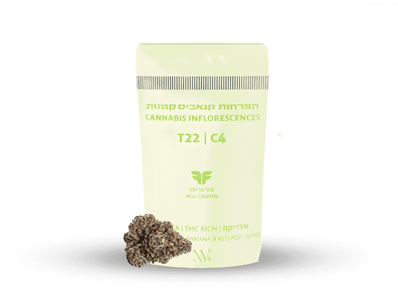 קנאביס רפואי תפרחת גריפין מיני - T22/C4 - Griffiin Mini נובה קנאביס לילה - אינדיקה