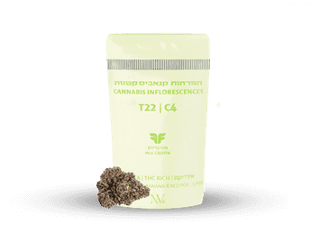 תפרחת גריפין מיני - T22/C4 - Griffiin Mini