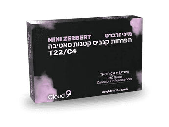 תפרחת זרברט מיני - T22/C4 - Zerbert Mini