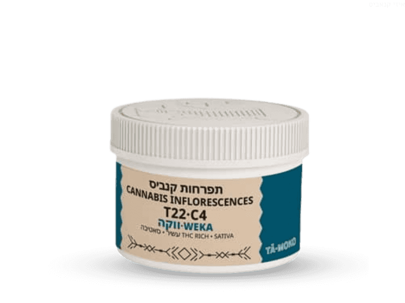 קנאביס רפואי תפרחת ווקה - T22/C4 - Weka בזלת פארמה יום - סאטיבה