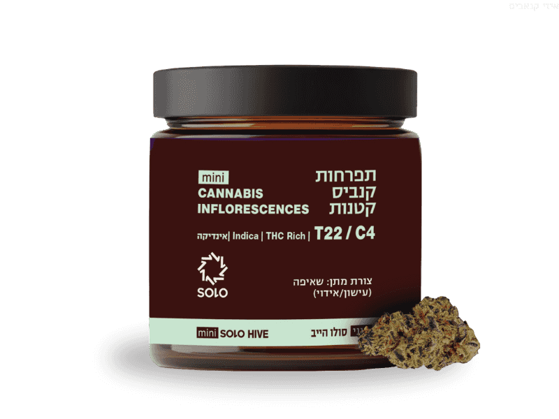 קנאביס רפואי תפרחת סולו הייב מיני - T22/C4 - SOLO Hive Mini מדוקאן לילה - אינדיקה