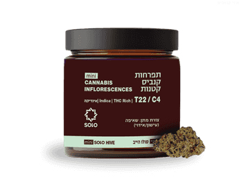 תפרחת סולו הייב מיני - T22/C4 - SOLO Hive Mini