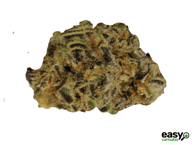 קנאביס רפואי תפרחת סולו הייב מיני - T22/C4 - SOLO Hive Mini מדוקאן לילה - אינדיקה