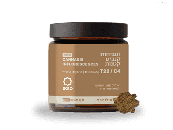 תפרחת סולו אי.וי מיני - T22/C4 - SOLO E.V. Mini