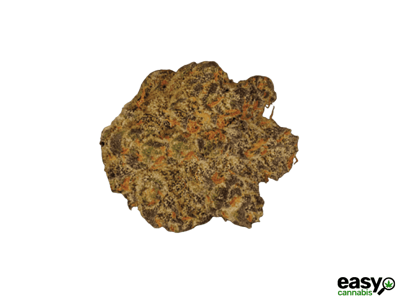 קנאביס רפואי תפרחת סולו אי.וי מיני - T22/C4 - SOLO E.V. Mini מדוקאן יום\לילה - היברידי