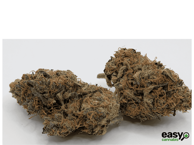 קנאביס רפואי תפרחת דיפי.אס - T22/C4 - Deepi.s איי.אמ.סי לילה - אינדיקה