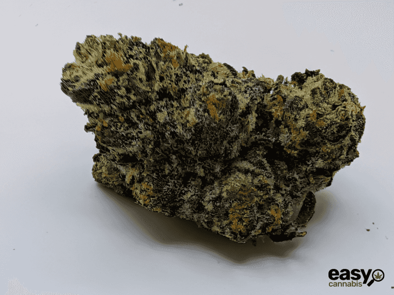 קנאביס רפואי תפרחת סולו תדר - T22/C4 - SOLO Teder מדוקאן יום\לילה - היברידי