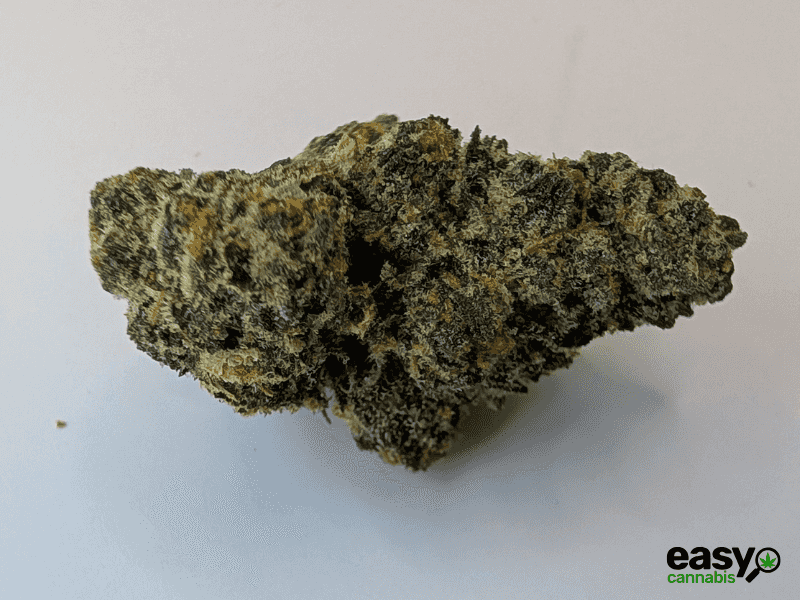 קנאביס רפואי תפרחת סולו תדר - T22/C4 - SOLO Teder מדוקאן יום\לילה - היברידי