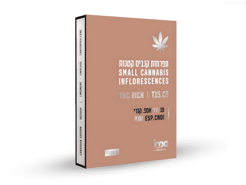 קנאביס רפואי תפרחת אספ.קנדי מיני - T15/C3 - ESP.CNDY MINI איי.אמ.סי יום\לילה - היברידי