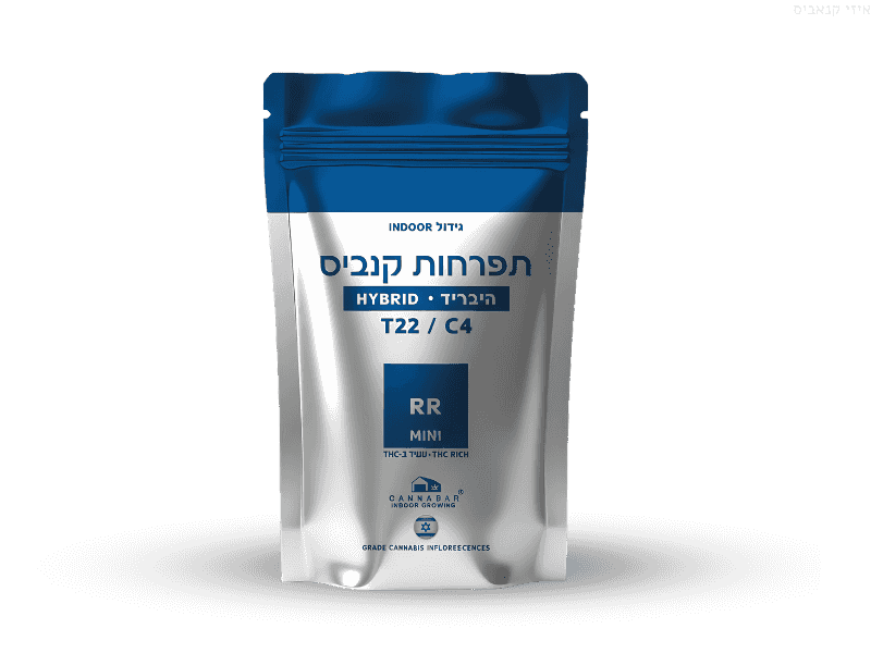 קנאביס רפואי תפרחת אר אר - T22/C4 - RR קנאבר יום\לילה - היברידי