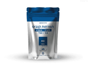 תפרחת אר אר - T22/C4 - RR