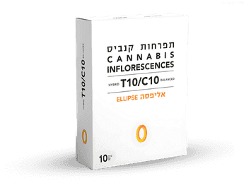 תפרחת אליפסה - T10/C10 - Ellipse