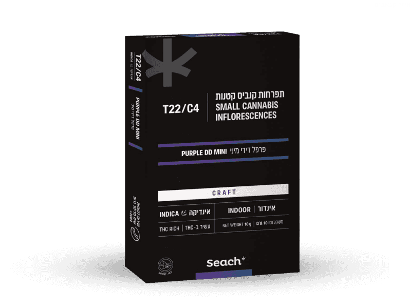קנאביס רפואי תפרחת פרפל דידי מיני - T22/C4 - Purple DD Mini שיח מדיקל לילה - אינדיקה