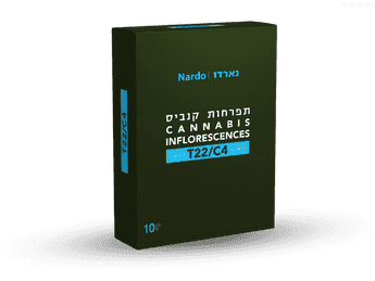 תפרחת נארדו - T22/C4 - Nardo