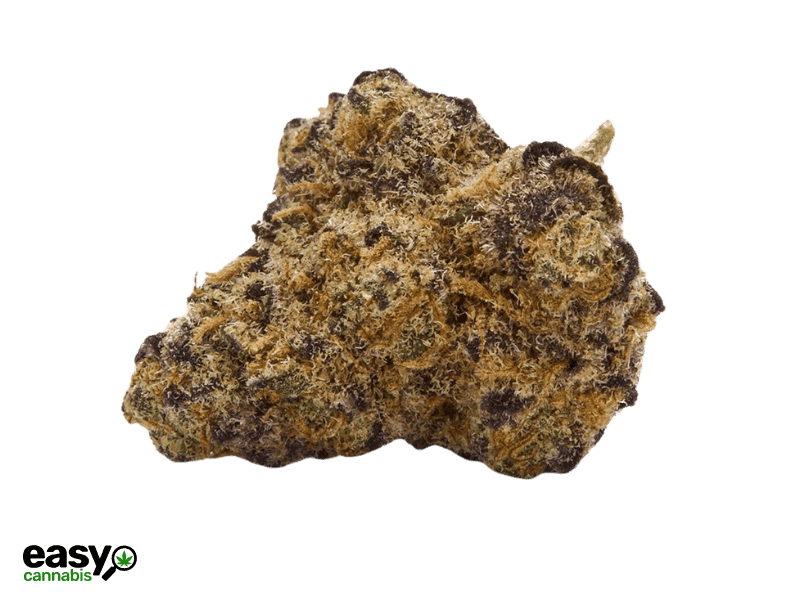 קנאביס רפואי תפרחת אספ.קנדי מיני - T22/C4 - ESP.CNDY MINI איי.אמ.סי יום\לילה - היברידי