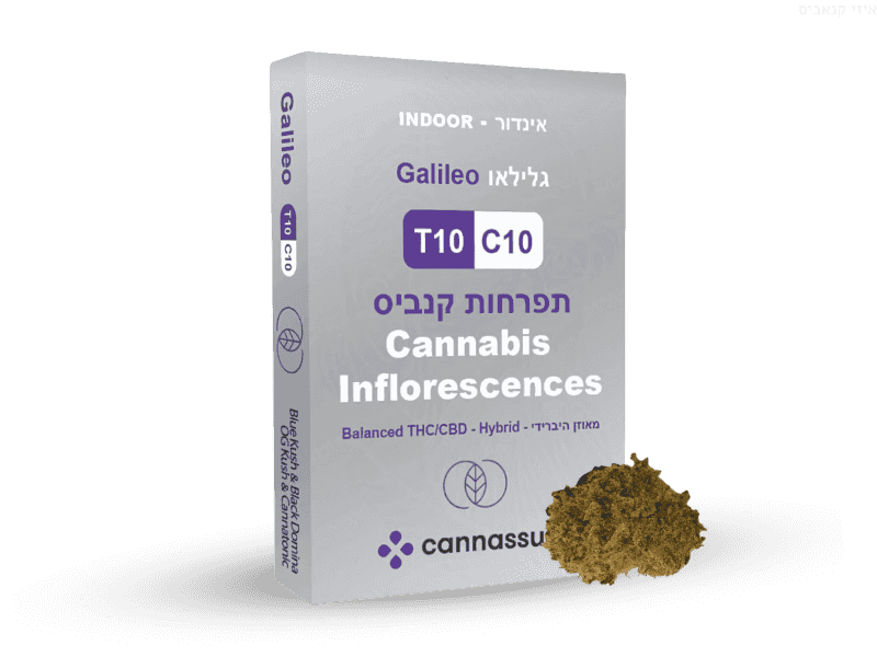 קנאביס רפואי תפרחת גלילאו - T10/C10 - Galileo קנאשור יום\לילה - היברידי
